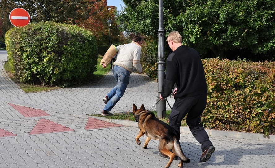 topsecurity-cz_chcete_se_doma_citit_bezpecne_-_obratte_se_na_bezpecnostni_agenturu-3