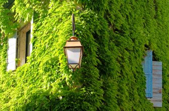 01_green