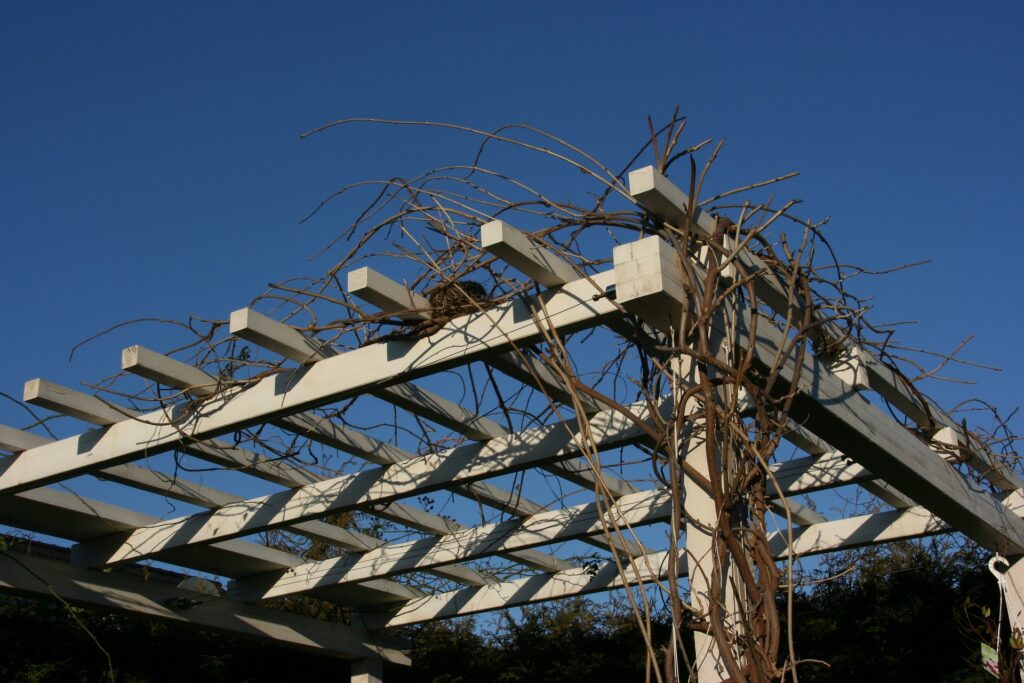 02_pergola
