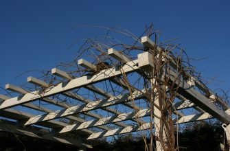 02_pergola