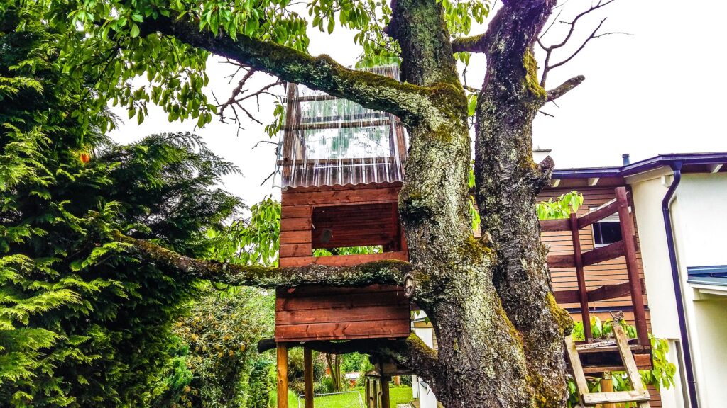 02_treehouse