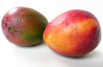 mango