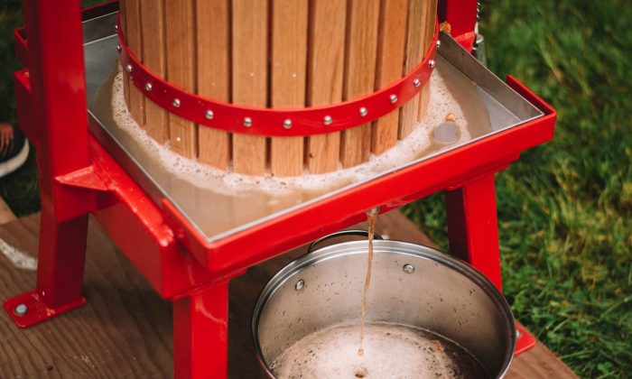 Cider