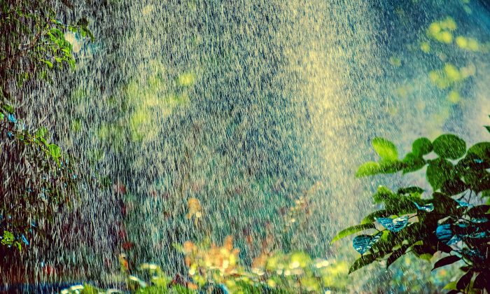 sprinkler