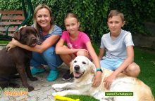 Apartmán Rozsochatec - dovolená se psem