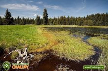 Chalupa Prameny 15 - apartmány Slavkovský les
