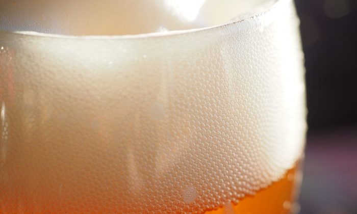 pivo