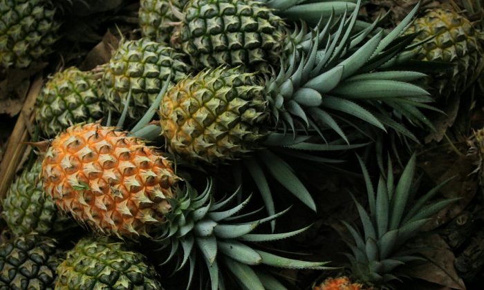 ananas