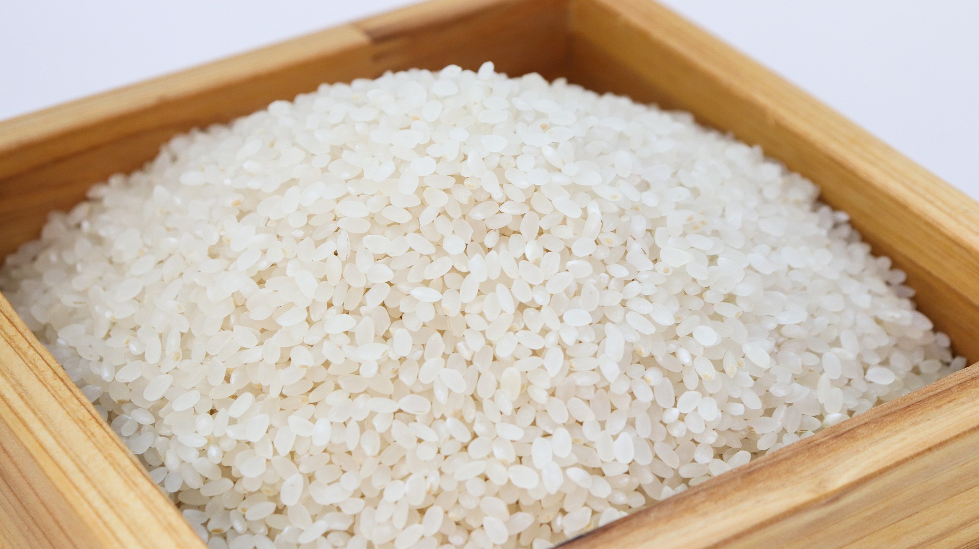 Surová rýže
