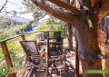 Treehouse Stvořidla - Leštinka - Glamping