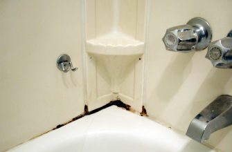 Mold in the bathroom