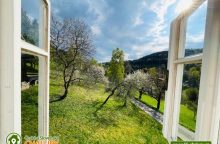 Roubenka Dušnice SPA SPA - Horní Dušnice