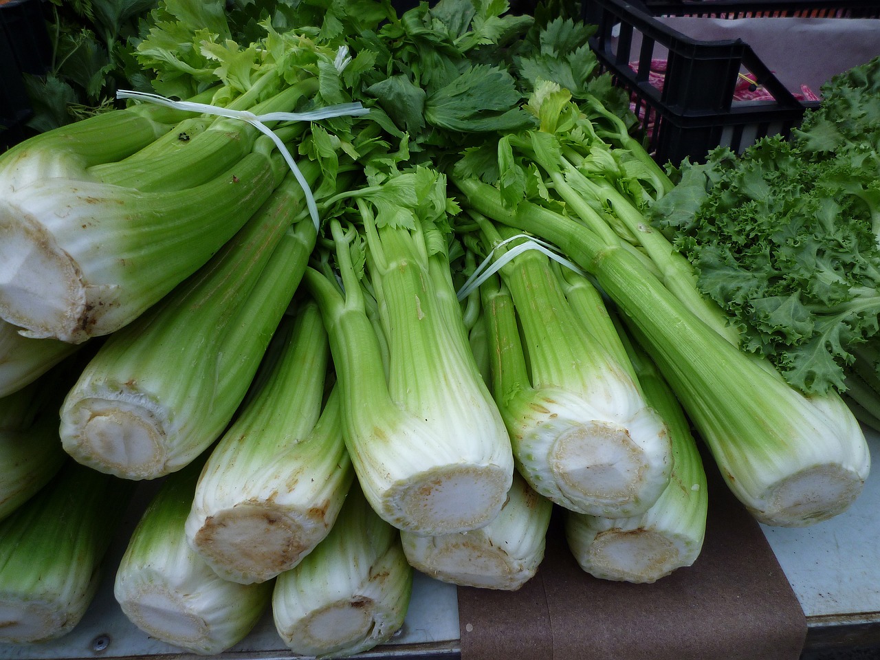 Řapíkaté celer