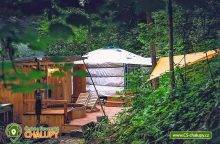 Yurt in the Wood - Glamping Hřibojedy - Hvězda