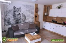 Apartmán Vlčí nora - Horní Maršov - Krkonoše