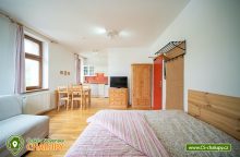 Apartmánový dům Javorka - Pernink - Boží Dar