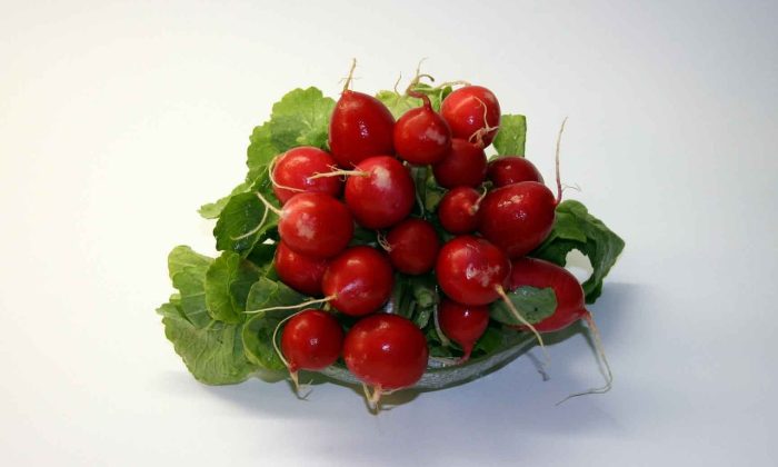 Radish