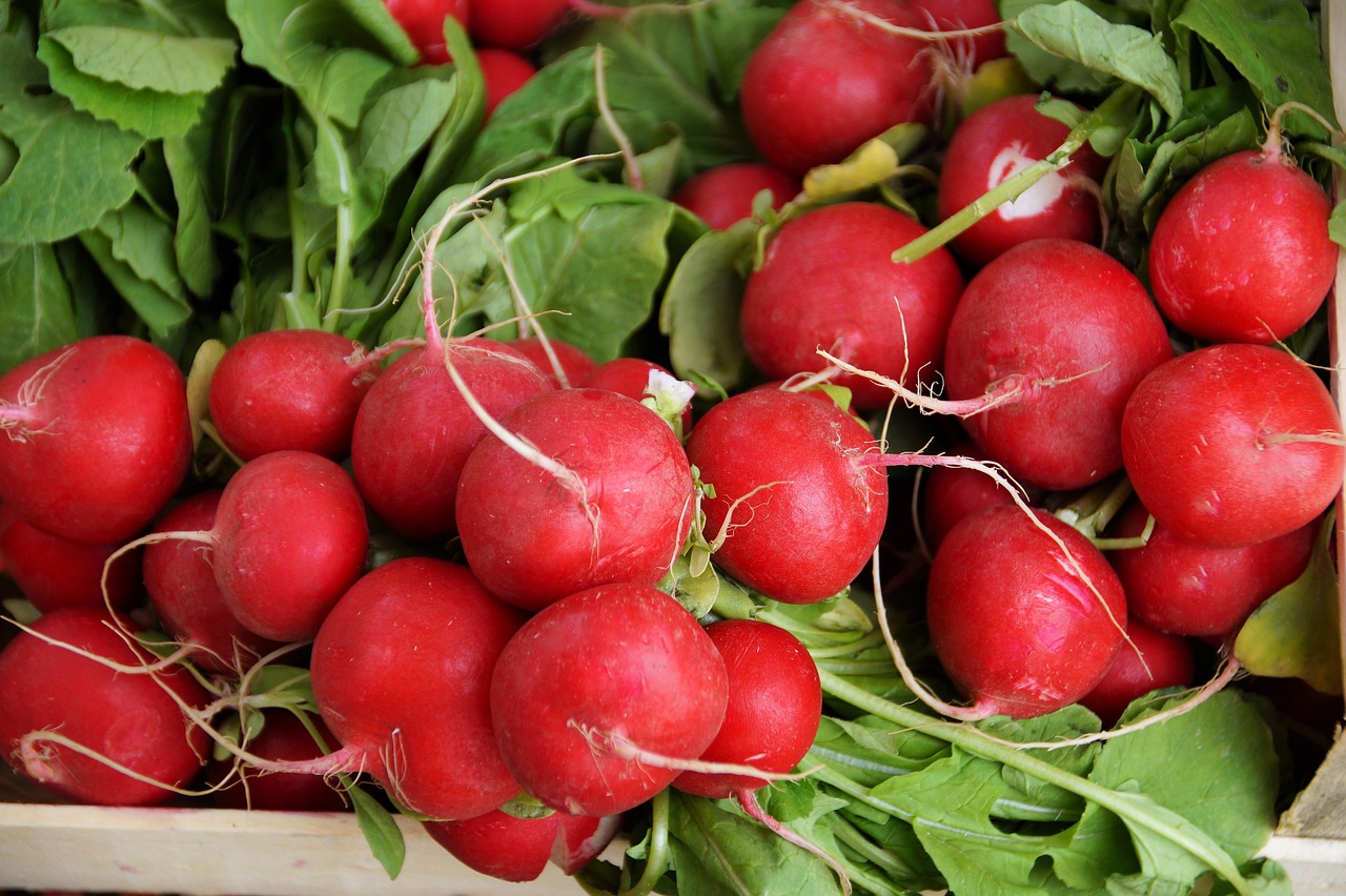 Radishes