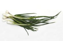 cibule
