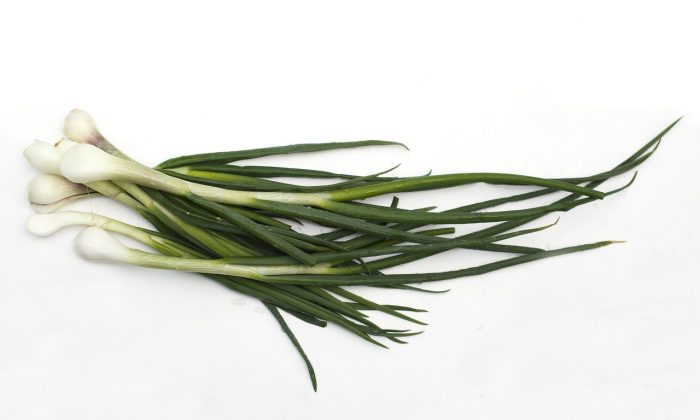 cibule