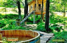 Glamping Mikulášovice - Treehouse Lea