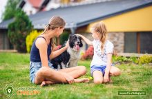 Wellness Apartmány Engadin - penzion Boží Dar