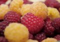 maliny