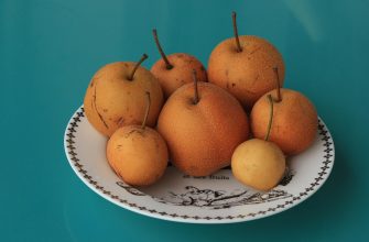 oskeruše