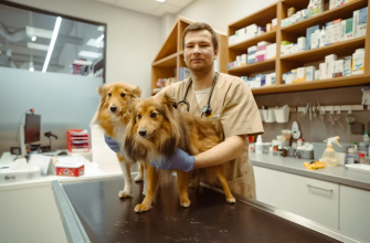 MVDr. Kryštof Doležal