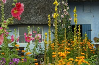 Bydlení, pokuta, právník, tip trik