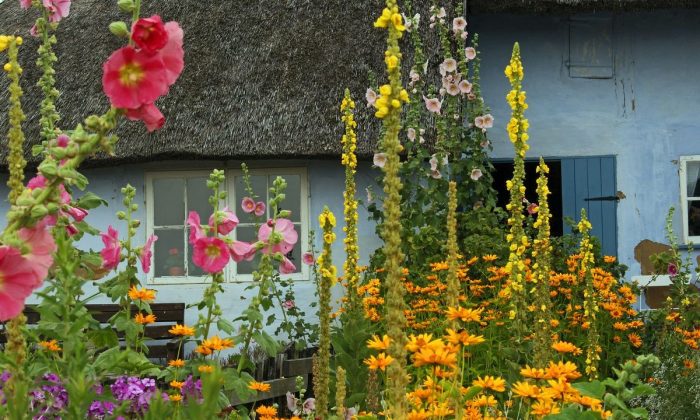 Bydlení, pokuta, právník, tip trik