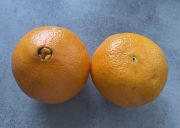 Pomeranč s výstupkem a bez něj