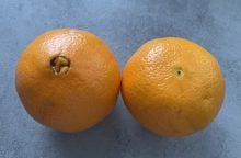 Pomeranč s výstupkem a bez něj