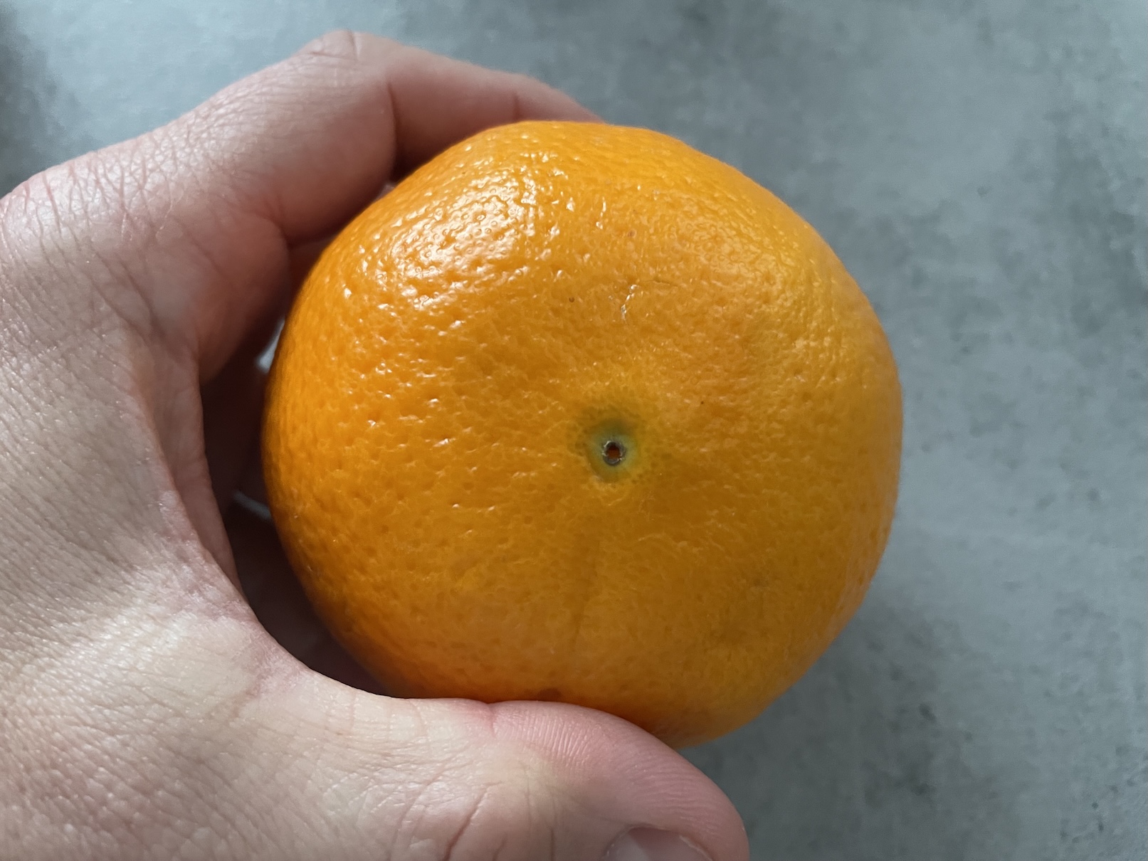 Pomeranč bez výstupku