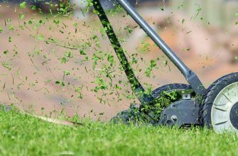 Push lawn mower in action, clippings scattering as it cuts the grass.