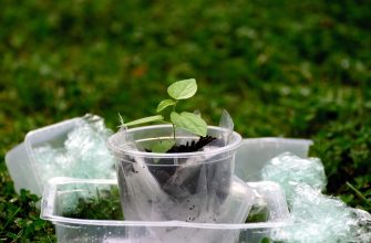 Young plant sprouting from soil in a clear plastic cup, surrounded by other plastic containers on grass—emphasizes recycling and growth balance with nature.