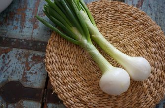Two white onions with green stems lie on a round woven placemat on a weathered blue wooden table.