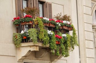 Balcony with hanging flower pots and trailing vines on a beige building with brown shutters