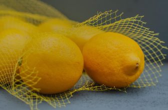 Síťka od citrusů