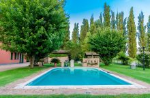 Rectangular outdoor pool with brick coping, surrounded by green lawn and tall trees under a bright blue sky.