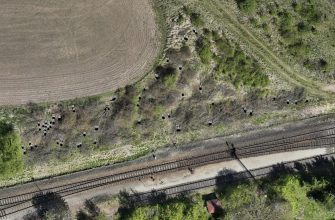 Dron