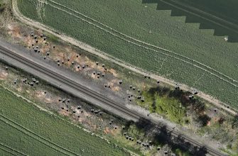Dron