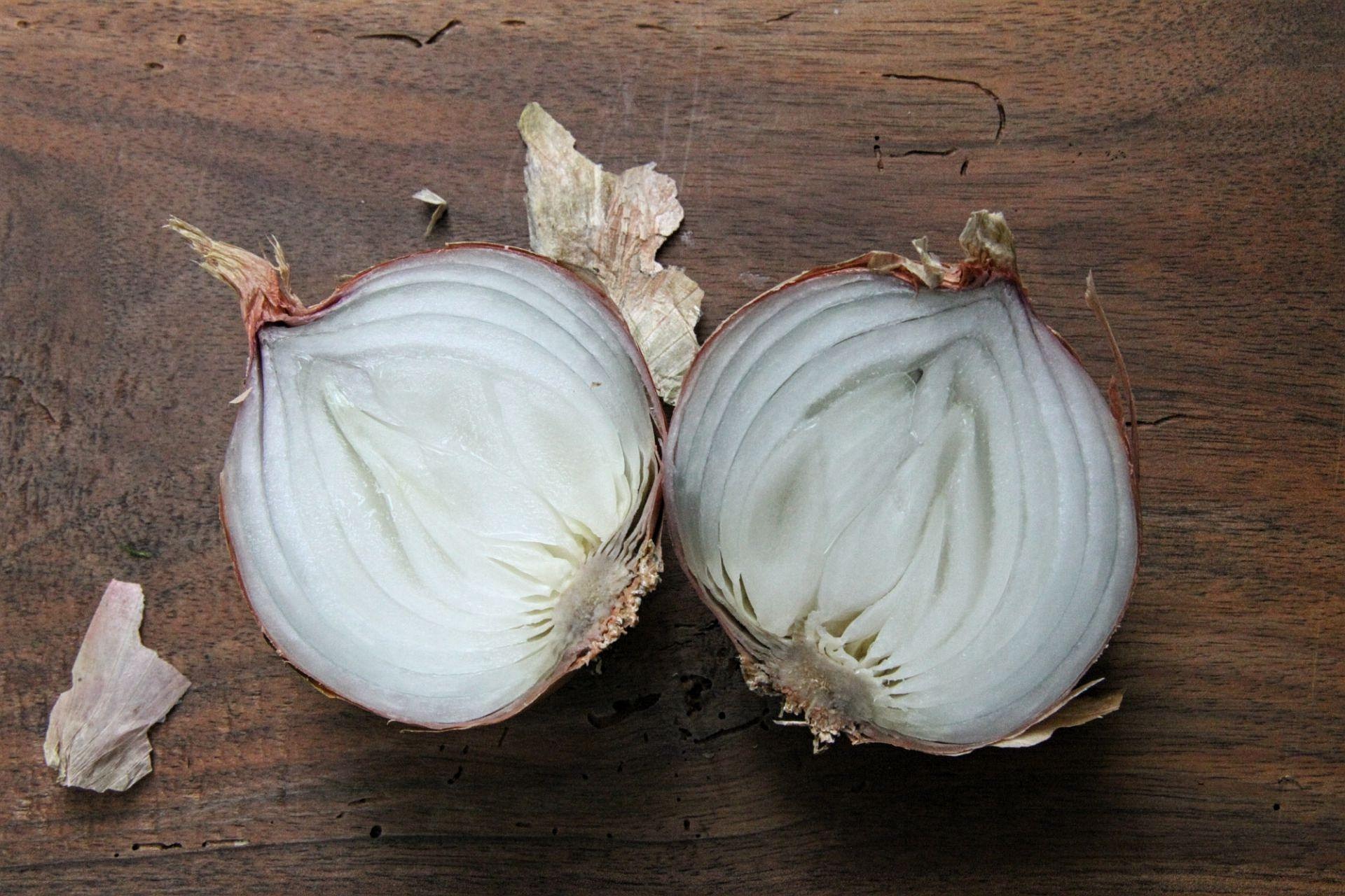 Cibule